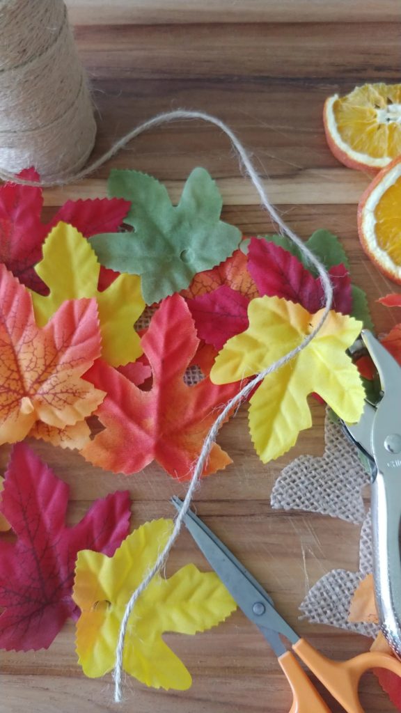 A close up of fall leaves
