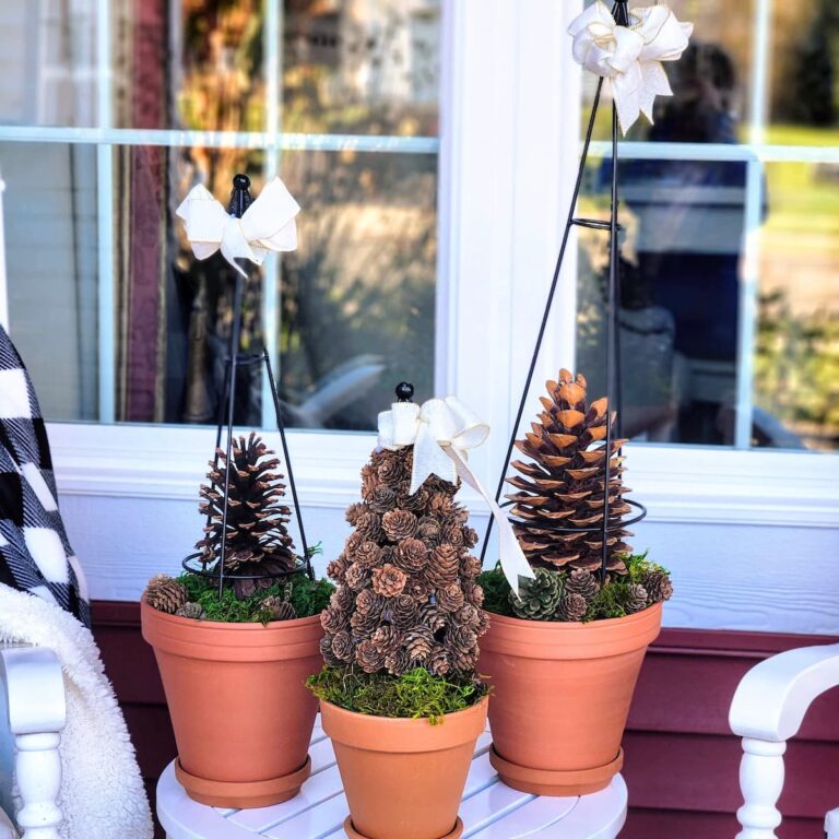 terra cotta pots with pinecone topiaries in them