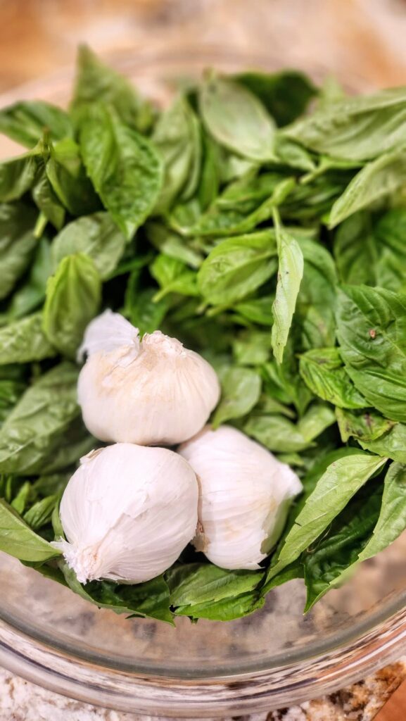 garic cloves and basil in bowl