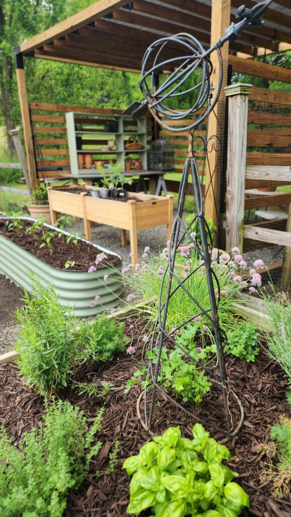 view of herb garden in garden beds