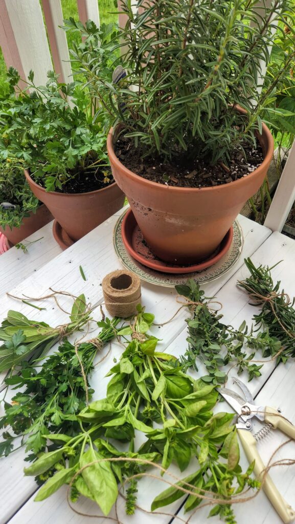 herbs in clay pots being wrapped with twine to dry 